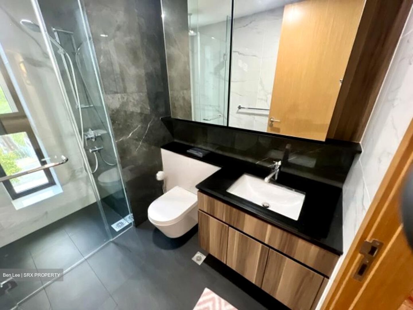 The Verandah Residences (D5), Apartment #482890081